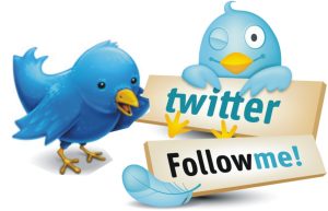 Investing On Twitter Followers