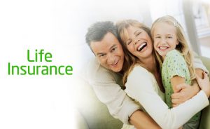 An Excellent Guide To Choose The Best Insurance Policy