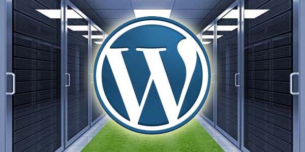 Why Small Businesses Should Prefer WordPress Hosting