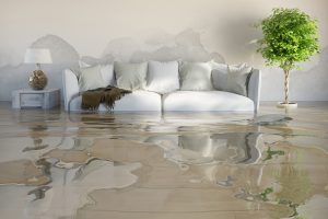Home Owner Water Damage Restoration Tips