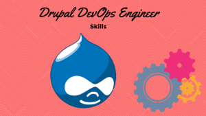 Drupal DevOps Engineer