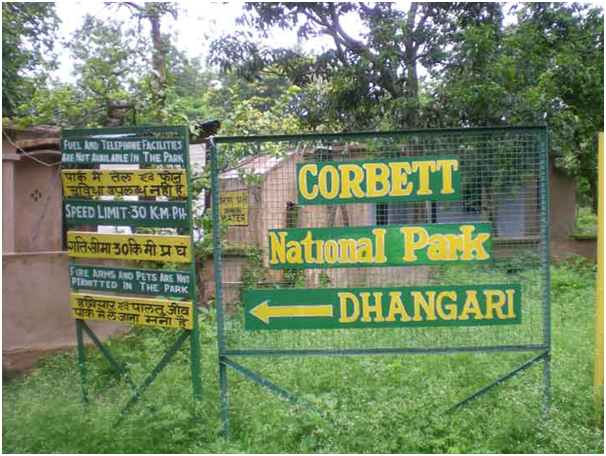 Take A Tour Of The Wildlife Of The Jim Corbett National Park