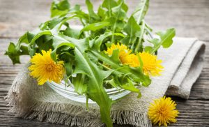 Health Benefits Of Dandelions You Never Knew