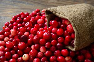 Health Benefits Of Fresh Cranberries