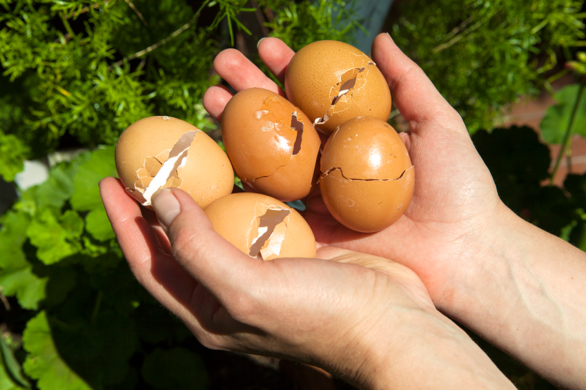 Amazing Health Benefits Of Egg Shells