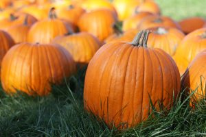 Impressive Health Benefits Of Pumpkin