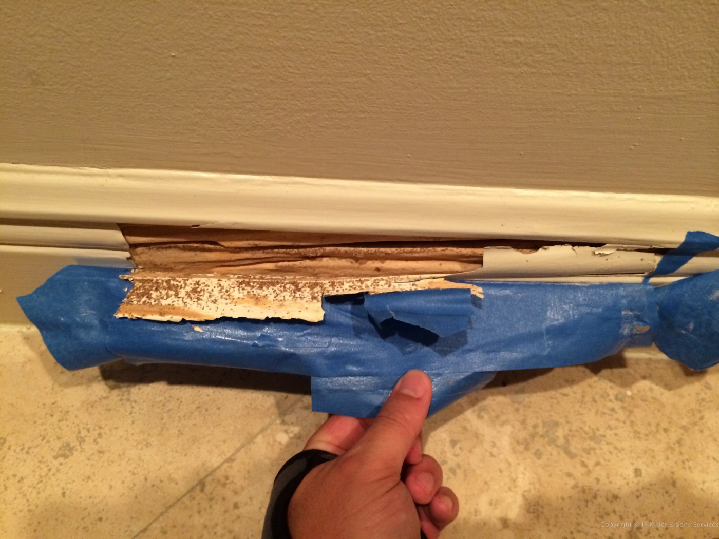 Treatment After Inspection – Termite Treatment Boca Raton, An Absolute Necessity