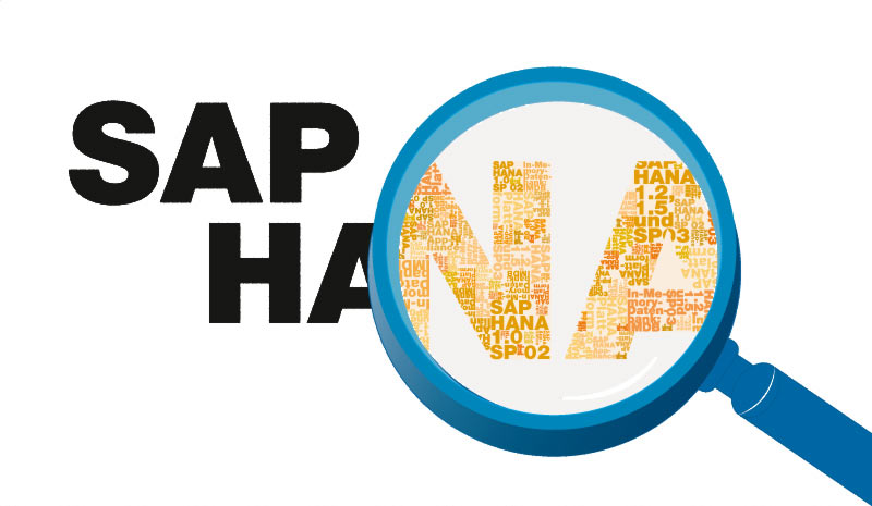 What You Need To Know Before Hiring A SAP HANA Migration Services Provider