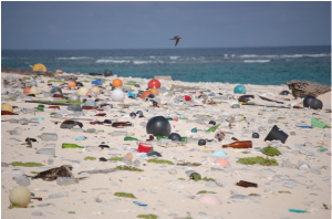 The Plastic Oceans Problem