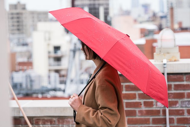 Some Ways Of Bringing Home The Best Travel Umbrella