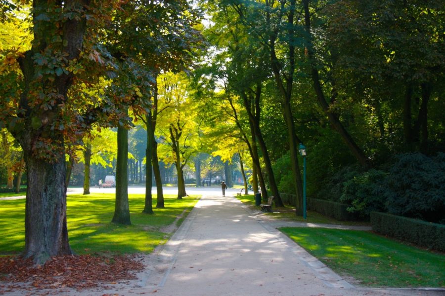 Green Relaxation: 5 Spots For Leisure Walks In Brussels