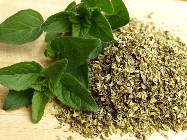 Top 6 Reasons Why You Need Oregano Herbs In Your Kitchen