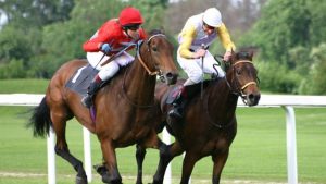 What Should You Know About Live Horse Races? Here Are Some Insights!