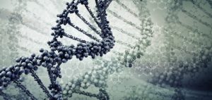 Genetic Engineering and Its Ethics