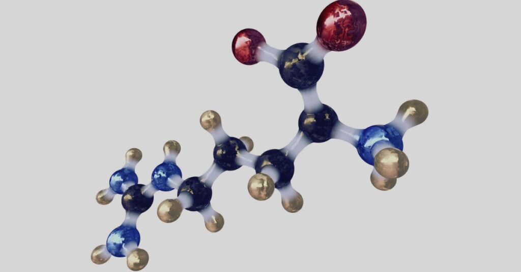 Doctorhub360.com Amino Acids