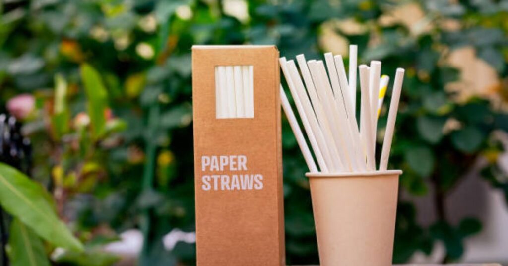 Paper Straws