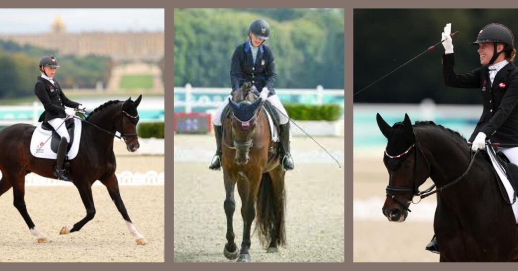 Equestrian Paralympics 2024 2024